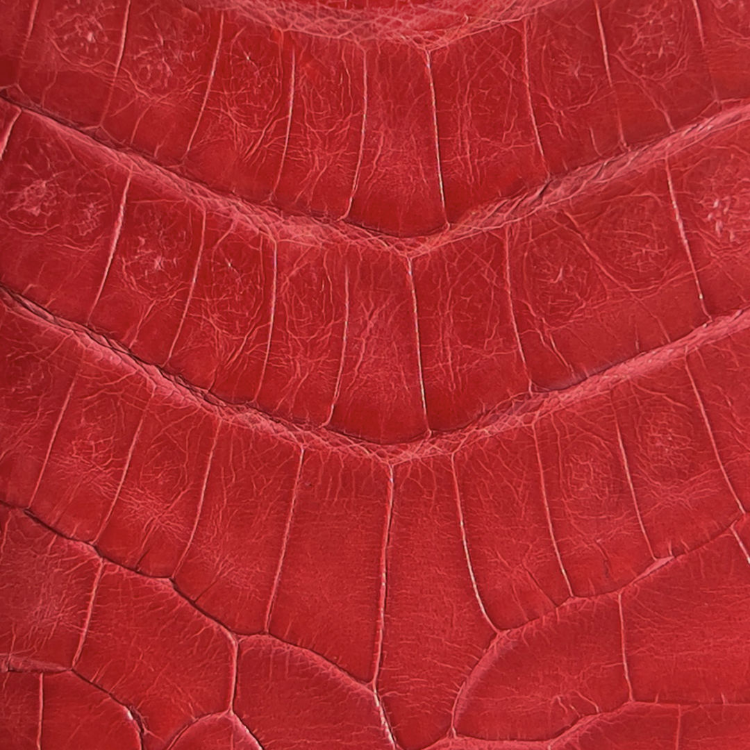 Piele Crocodil