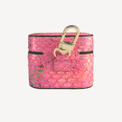 AirPods case, Python 