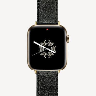 Apple Watch strap, Python leather