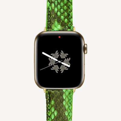 Apple Watch strap, Python leather
