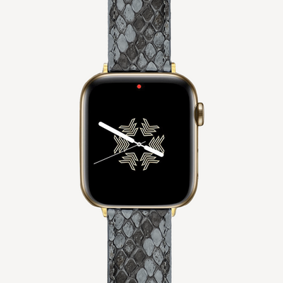 Apple Watch strap, Python leather