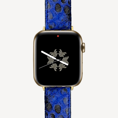 Apple Watch strap, Python leather