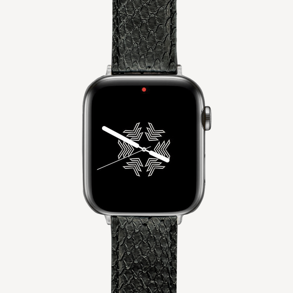Apple Watch strap, Python leather