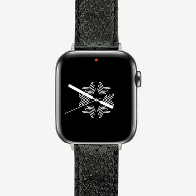 Apple Watch strap, Python leather