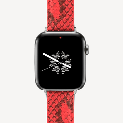 Apple Watch strap, Python leather