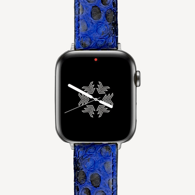 Apple Watch strap, Python leather